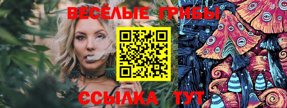 Галлюциногенные грибы прущие грибы Великие Луки