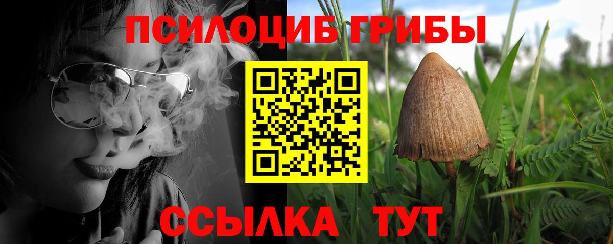 Псилоцибиновые грибы прущие грибы  Галлюциногенные грибы прущие грибы  Великие Луки  Вход с VPN 